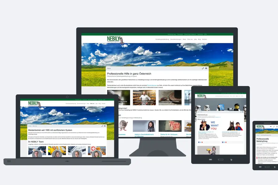 Nebily GmbH Mockup Wordpress decoupled Frontend